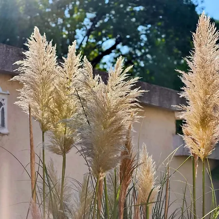 Szálloda бутиков History 3*