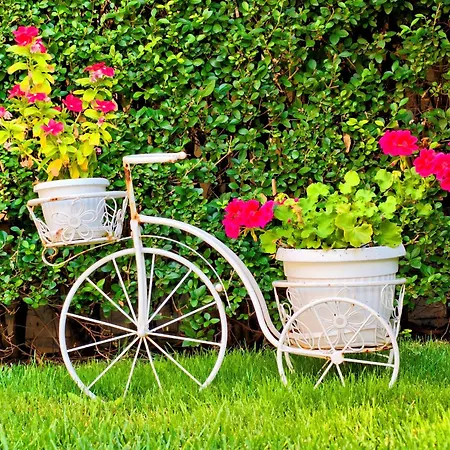 бутиков History