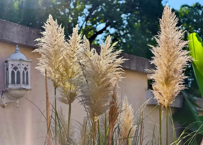 Хотел хистори 3*