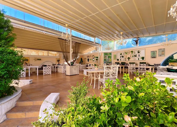 хистори Хасково